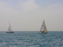 20110515-_D3C0094.jpg