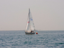 20110515-_D3C0096.jpg