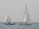 20110515-_D3C0099.jpg