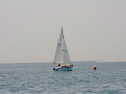 20110515-_D3C0102.jpg