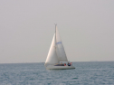 20110515-_D3C0103.jpg