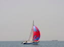 20110515-_D3C0107.jpg