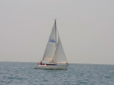 20110515-_D3C0109.jpg