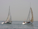 20110515-_D3C0136.jpg