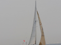 20110515-_D3C0137.jpg