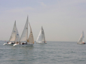 20110515-_D3C0142.jpg
