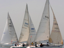 20110515-_D3C0143.jpg