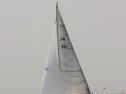 20110515-_D3C0145.jpg