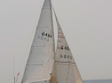 20110515-_D3C0151.jpg