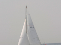 20110515-_D3C0153.jpg