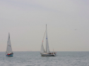 20110515-_D3C0162.jpg
