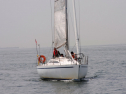 20110515-_D3C0225.jpg