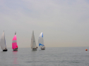 20110515-_D3C0245.jpg