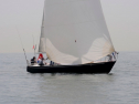 20110515-_D3C0259.jpg
