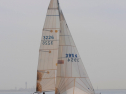 20110515-_D3C0269.jpg