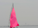 20110515-_D3C0322.jpg