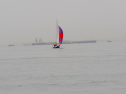 20110515-_D3C0354.jpg