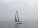 RIMG5178.JPG