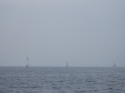 RIMG5196.JPG