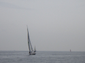RIMG5203.JPG