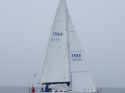 RIMG5215.JPG