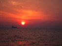 IMG_2885.jpg