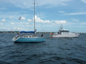 th_P1030128.jpg
