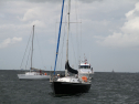 IMG_1449.jpg