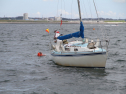 IMG_1471.jpg