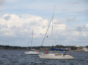 IMG_1494.jpg