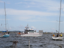 IMG_1515.jpg