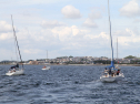 IMG_1584.jpg