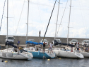 IMG_1666.jpg