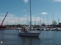 IMGA0260.jpg