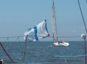 IMGA0266.jpg
