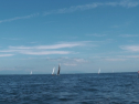 IMGA0271.jpg