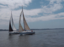 IMGA0286.jpg