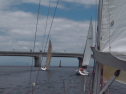IMGA0289.jpg