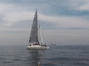 IMGA0099.jpg