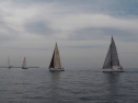IMGA0100.jpg