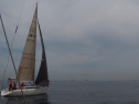 IMGA0101.jpg