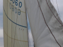 IMGA0105.jpg