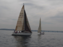 IMGA0113.jpg