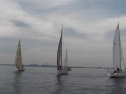 IMGA0114.jpg