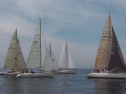 IMGA0123.jpg