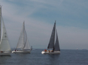 IMGA0127.jpg