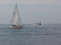 IMGA0130.jpg