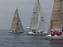 IMGA0131.jpg