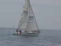 IMGA0132.jpg