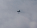 IMGA0133.jpg
